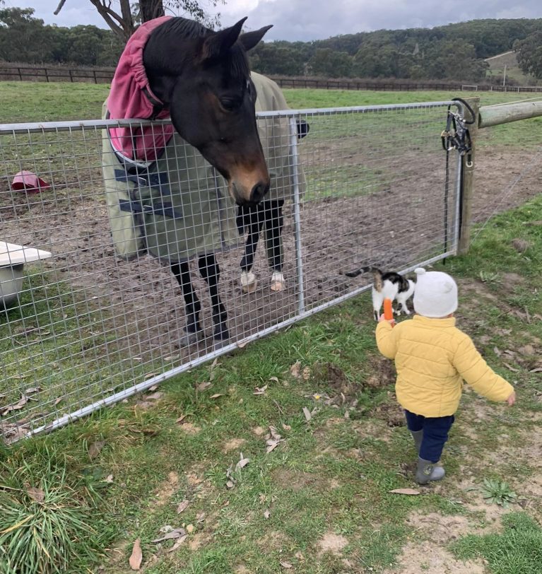 Getting Back in the Saddle: Riding After Babies